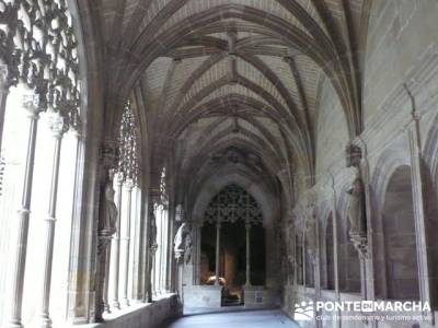 Enología en Rioja - Senderismo Camino de Santiago - Santa María la Real (Najera); senderismo catal